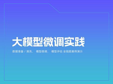 大模型微调实践数据准备/清洗、模型微调、模型评估 全链路案例演示