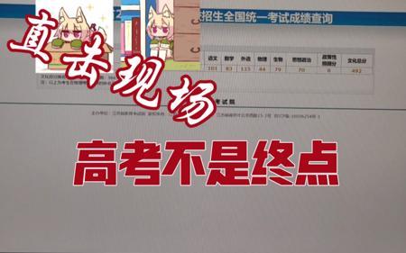 最真实的高考查分（第一视角）