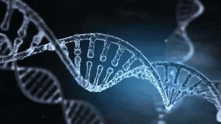 谷歌AlphaGenome横空出世,40亿年生命代码一键破解,或再夺诺奖