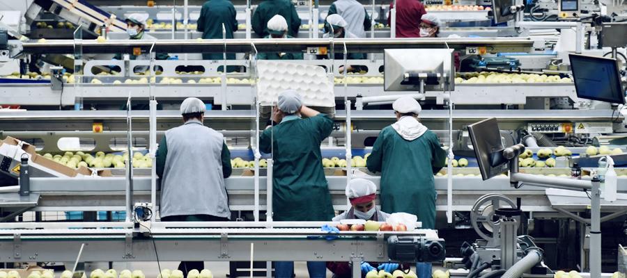 ERP 生产管理到底是管哪些，理哪些？