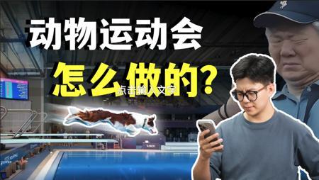 动物运动会居然是AI做的？超详细教程来啦！【Git源宝】