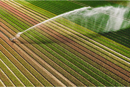 瑞士食品科技公司xFarm Technologies研发智慧农田管理应用程序，推动农业数字化转型 | 瑞士创新100强