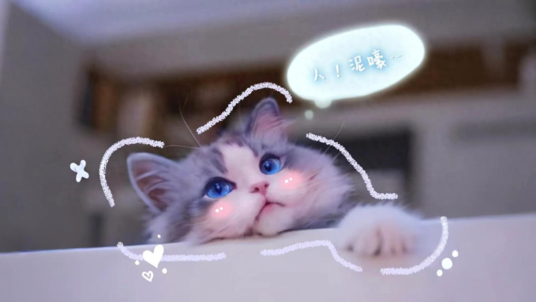 第一批玩AI的猫主子来了，摸头都有新花样，和猫聊天还不重样