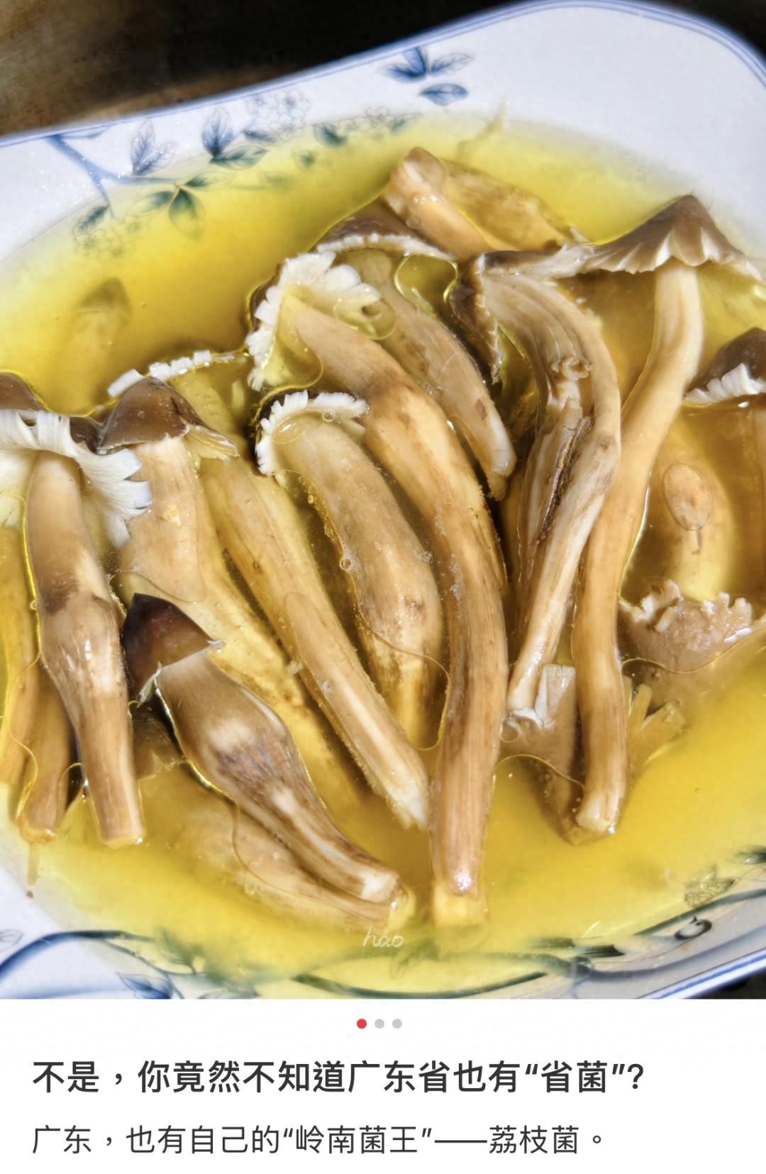 这座被低估的粤西小城，荔枝和海鲜都绝了