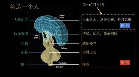 关于AGI 和人类的未来，你一定要看看清华刘嘉教授的10 个观点